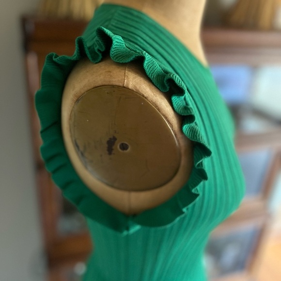 Zara green sleeveless ruffle sleeve stretchy pullover top - Picture 3 of 5